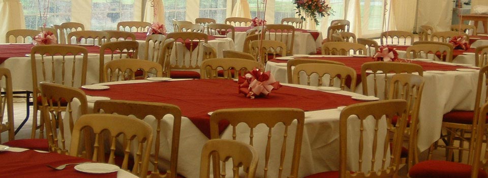 established 30 years Established 30 Years